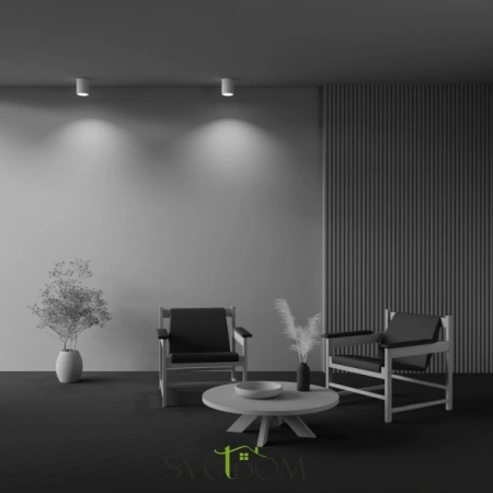 Потолочные светильники Maytoni C001CW-01W от Магазина Svetdom.by