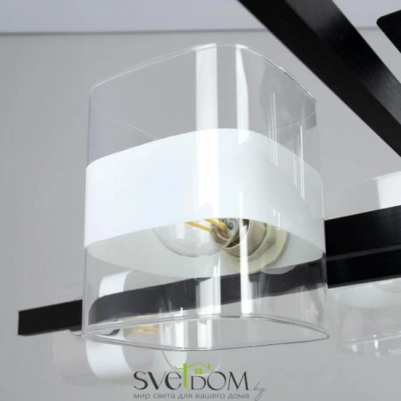 Люстры потолочныеCL139282 CITILUX | Svetdom.by