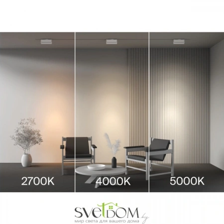 TR223-1-12WCCT-W-W Maytoni