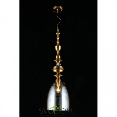 Подвесные светильники Aployt APL.602.06.01 от Магазина Svetdom.by