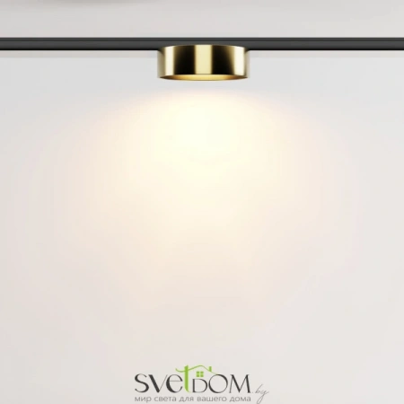 TR189-1-12W2.7K-BBS Maytoni