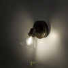 CL564511 CITILUX