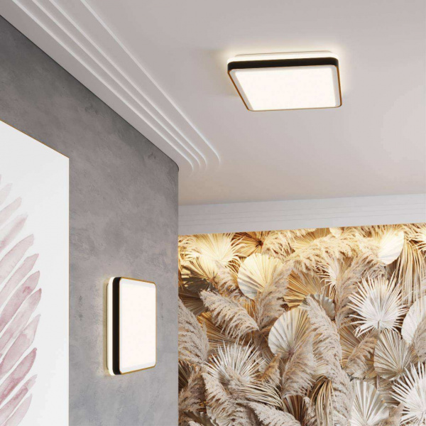 Настенно-потолочные светильники SONEX 7621/DL от Магазина Svetdom.by