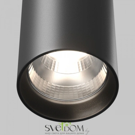 Подвесные светильники Maytoni P100PL-20W4K-B от Магазина Svetdom.by