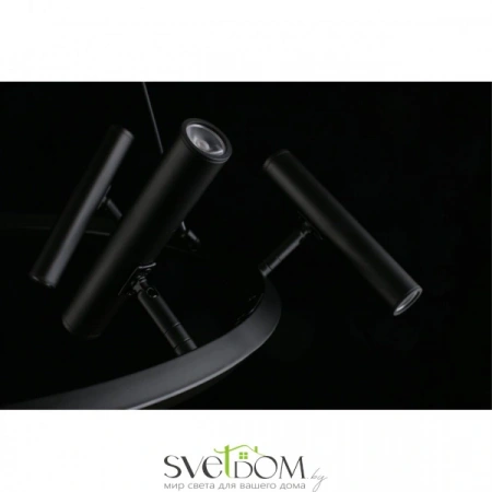 Люстры подвесныеAPL.067.03.40 Aployt | Svetdom.by