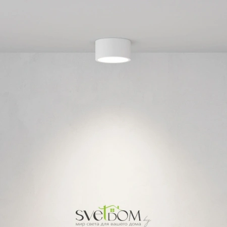 Потолочные светильники Maytoni C001CL-GX53-W от Магазина Svetdom.by