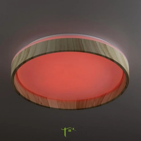 Потолочные светильники CITILUX CL753352G от Магазина Svetdom.by