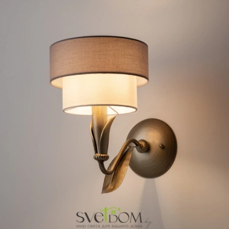 Настенные светильники H311-01-G Maytoni | Svetdom.by