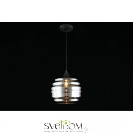 Подвесные светильники Aployt APL.605.16.01 от Магазина Svetdom.by