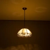 Подвесная люстра Citilux Шербург CL440231 CITILUX