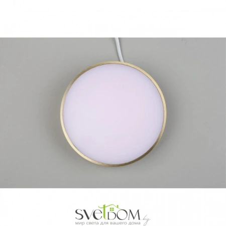 Настенно-потолочные светильники Aployt APL.0114.29.18 от Магазина Svetdom.by