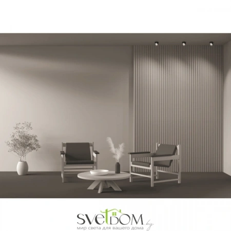 Встраиваемые светильники Maytoni DL044-01-GU10-B от Магазина Svetdom.by