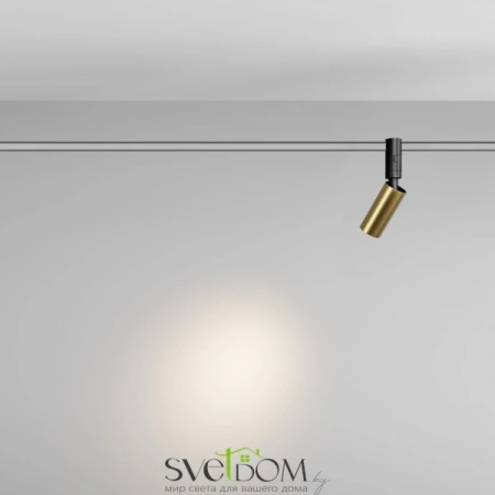 TR201-1-5W3K-M-BBS Maytoni