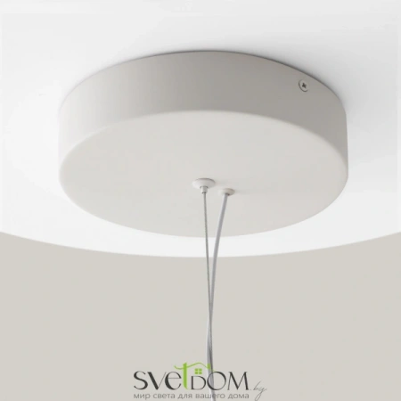 Подвесные светильники Maytoni MOD102PL-L42WK от Магазина Svetdom.by