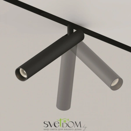 TR141-2-6W3K-M-B Maytoni