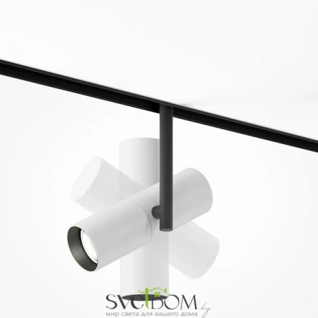 TR005-2-12W4K-BW Maytoni