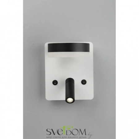 Настенные светильники OML-10911-02 Omnilux | Svetdom.by