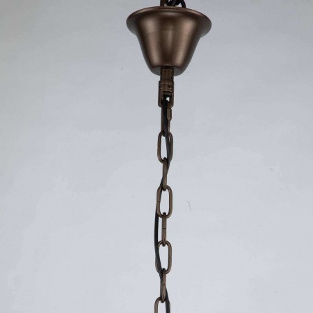 Люстры подвесные3014-20P Favourite | Svetdom.by