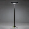 Citilux CLU03B1 LED Уличный парковый светильник поворотный Графит CITILUX