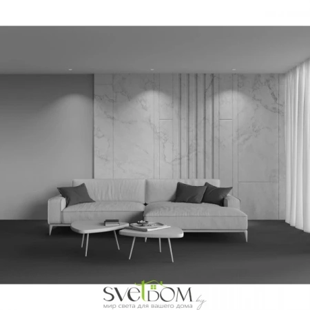 Встраиваемые светильники Maytoni DL129-GU10-01-W от Магазина Svetdom.by