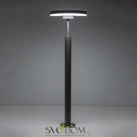 Citilux CLU03B1 LED Уличный парковый светильник поворотный Графит CITILUX