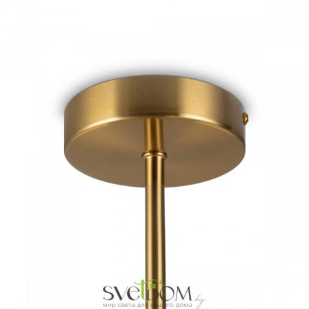 Потолочные светильники Freya FR5394CL-12BS от Магазина Svetdom.by