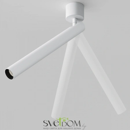 Потолочные светильники Maytoni C141CL-L300-6W4K-W от Магазина Svetdom.by