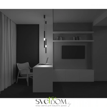 Подвесные светильники Maytoni P105PL-12W3K-B от Магазина Svetdom.by