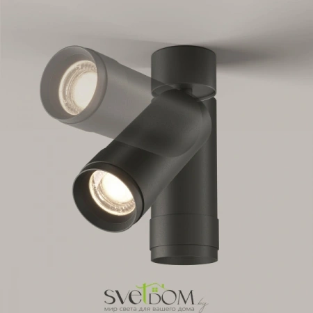 Потолочные светильники Maytoni C055CL-L12W4K-Z-B от Магазина Svetdom.by