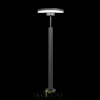 Citilux CLU03B1 LED Уличный парковый светильник поворотный Графит CITILUX