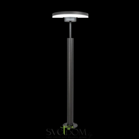 Citilux CLU03B1 LED Уличный парковый светильник поворотный Графит CITILUX