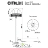 CL407925 CITILUX
