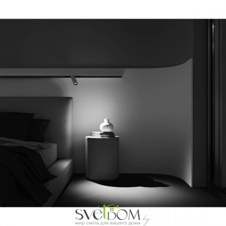 TR032-2-12W3K-M-BW Maytoni