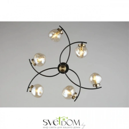Люстры потолочныеOML-95307-06 Omnilux | Svetdom.by