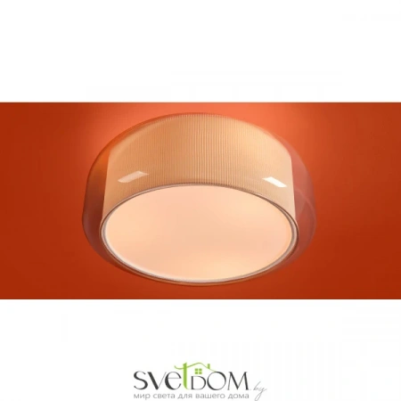 Потолочные светильники Freya FR2055CL-03CH от Магазина Svetdom.by