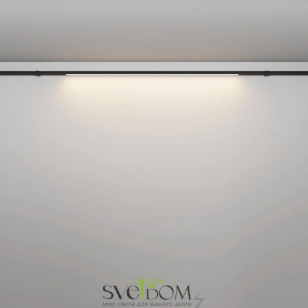 Светильники Maytoni C100CL-L1000-24W3-6K-B от Магазина Svetdom.by