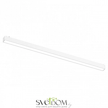 Светильник трековый Aployt  APL.0101.10.20