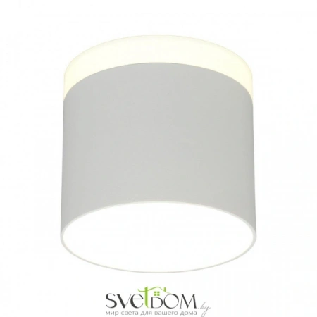 Накладные светильники Omnilux OML-102309-16 от Магазина Svetdom.by