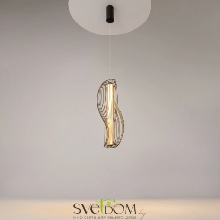 Подвесные светильники Maytoni MOD263PL-L20B3K от Магазина Svetdom.by