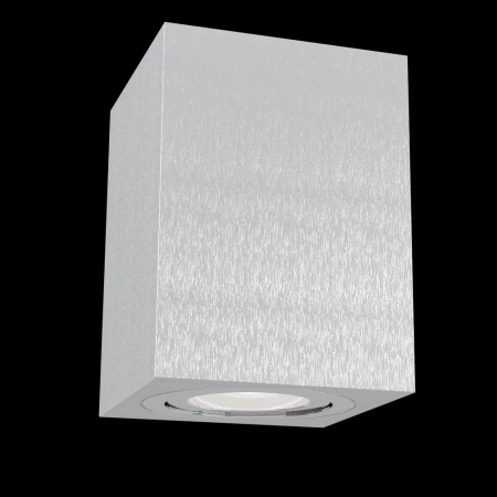 Потолочные светильники Maytoni C017CL-01S от Магазина Svetdom.by