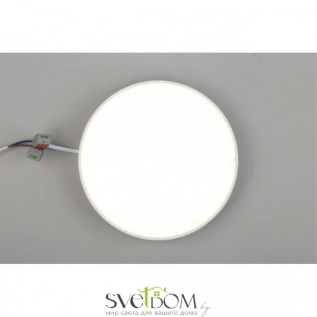 Настенно-потолочные светильники Aployt APL.0114.09.24 от Магазина Svetdom.by