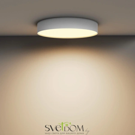 Потолочные светильники Maytoni C032CL-45W2.7K-RD-W от Магазина Svetdom.by