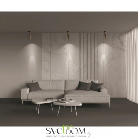 Потолочные светильники Maytoni C020CL-01GB от Магазина Svetdom.by