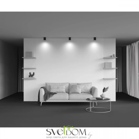 Потолочные светильники Maytoni C017CL-01B от Магазина Svetdom.by