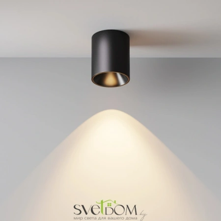 Потолочные светильники Maytoni C064CL-12W3K-RD-B от Магазина Svetdom.by