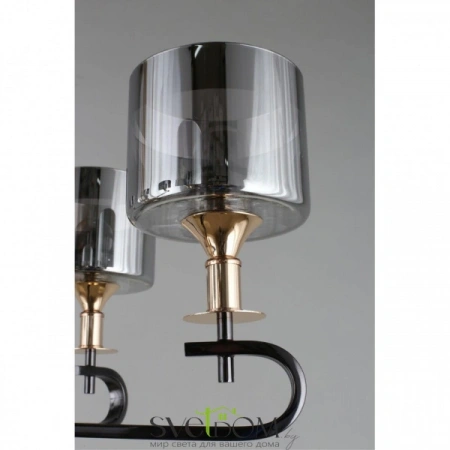 Люстры подвесныеOML-68703-06 Omnilux | Svetdom.by