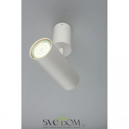 Настенно-потолочные светильники Aployt APL.007.02.01 от Магазина Svetdom.by
