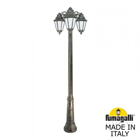 E22.157.S30.BYF1RDN Fumagalli