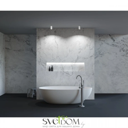 Потолочные светильники Maytoni C029CL-01-S-W от Магазина Svetdom.by