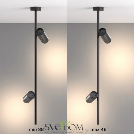 Потолочные светильники Maytoni C021CL-02B от Магазина Svetdom.by